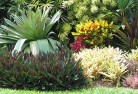Cooplacurripabali-style-landscaping-6old.jpg; ?>